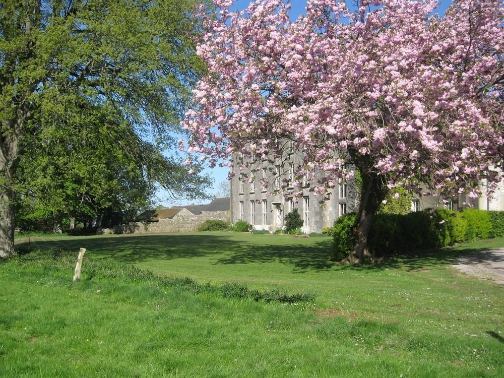 Ash Hill B & B Kilmallock Eksteriør billede