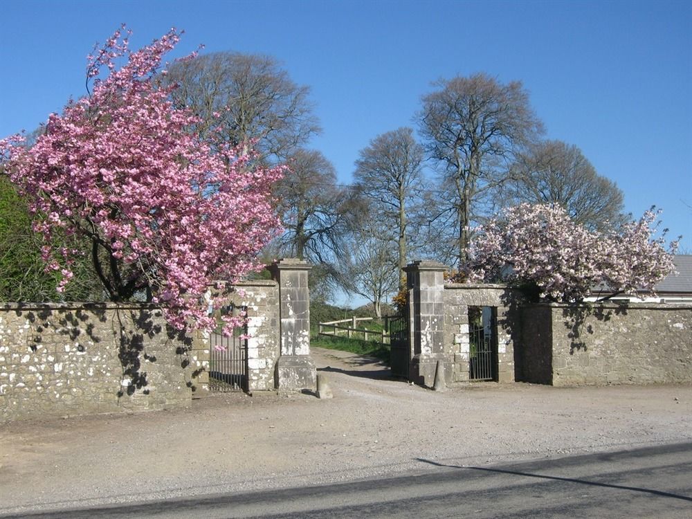 Ash Hill B & B Kilmallock Eksteriør billede